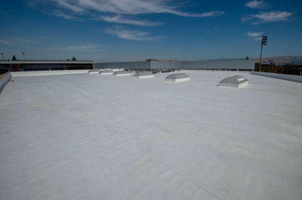 Best Roof Maintenance and Cleaning  in Rockwell Place, TX